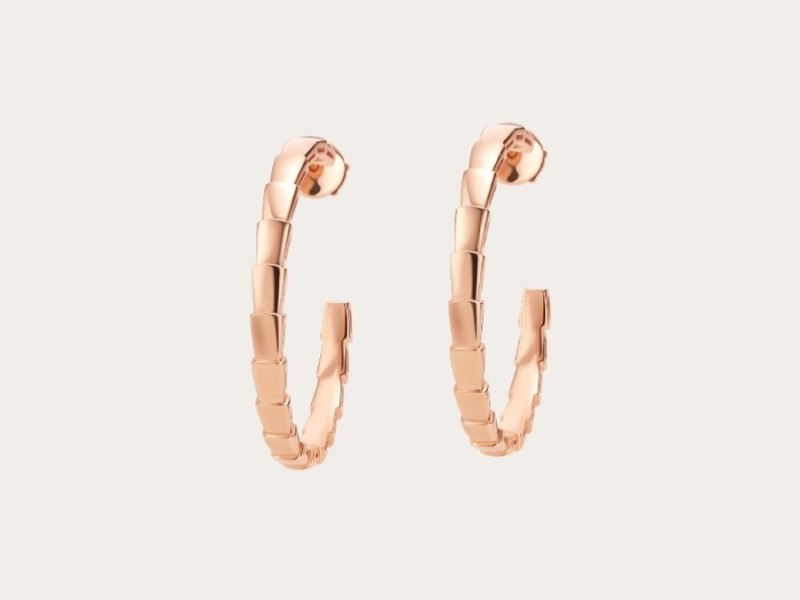 Bv1g*ai earrings